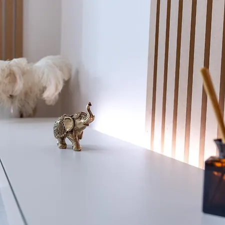 Lora's * Cluj-Napoca